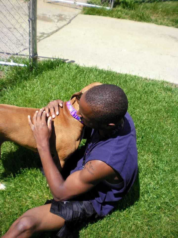 NWR: Any Boxer Dog Owners on WW - Pros & Cons