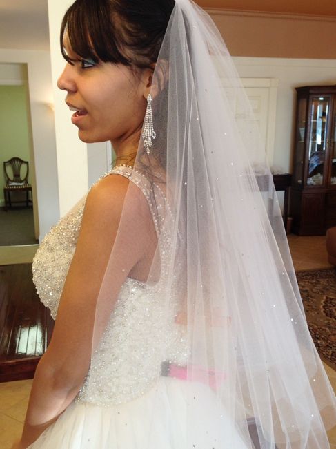 Well..here goes nothing...I said yes to the dress.