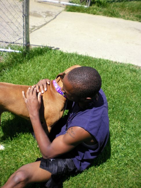 NWR: Any Boxer Dog Owners on WW - Pros & Cons
