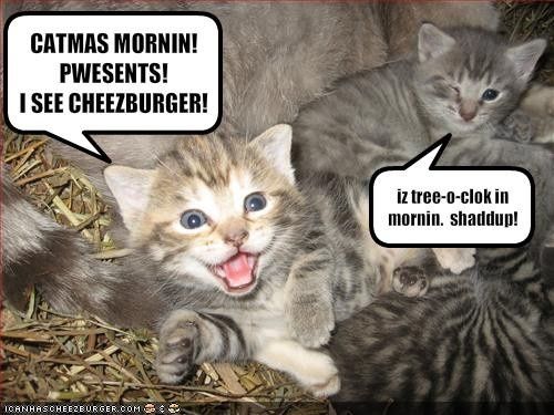 NWR: Holiday Cat Time :)
