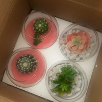 diy Centerpieces - 3