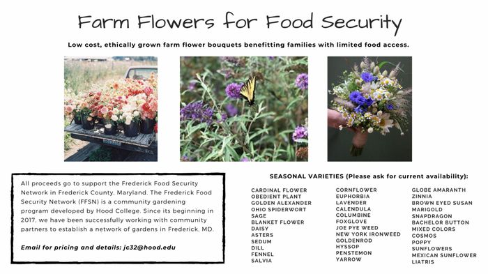Affordable flowers under 1k in Northern Virginia - 1