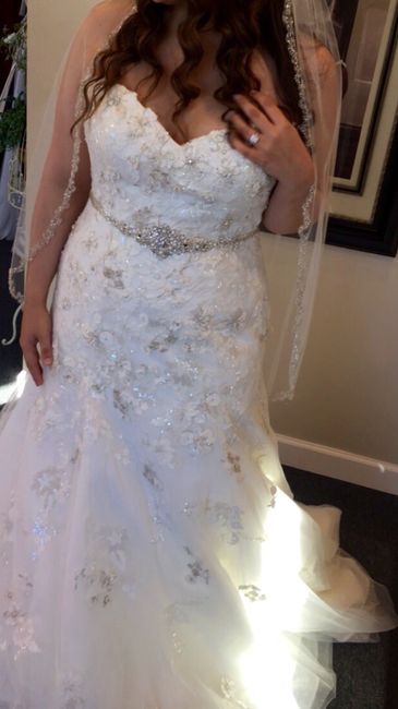 Plus Size Brides , share your dress !