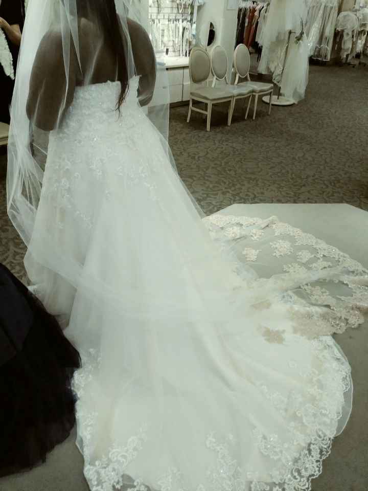 i said Yes to this dress - 2