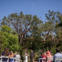 *Backyard Wedding* - 2