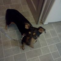 We've seen your rings, your dresses, your jewels.... show me your