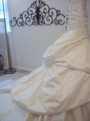 Wedding Dress Saga Part 2 (pics)