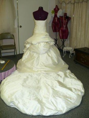 Wedding Dress Saga Part 2 (pics)