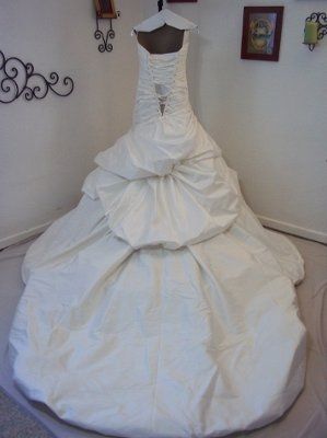 Wedding Dress Saga Part 2 (pics)