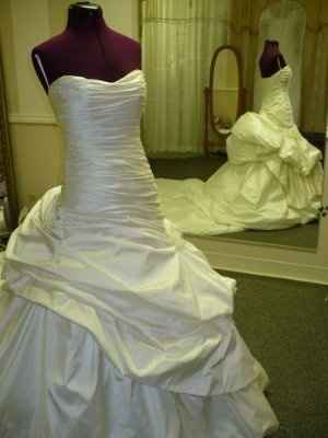 Wedding Dress Saga Part 2 (pics)