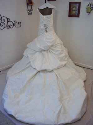 Wedding Dress Saga Part 2 (pics)