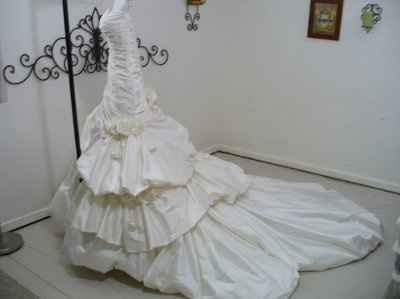 Wedding Dress Saga Part 3 (pics)