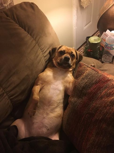 NWR: Show me your pups!