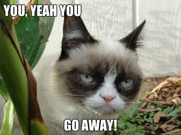 Don't give Trolls energy...just flag 'em...