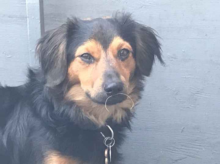 NWR: Worst. Day. Ever. Upate