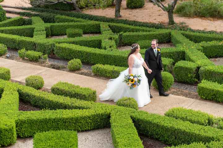 bam Pro Sneak Peek Photos 🥳 - 1