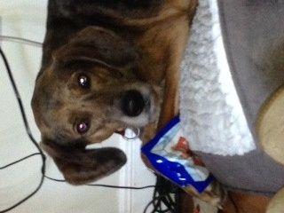 NWR- Furbaby Friday