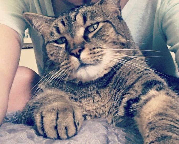 Let me see those fur babies!