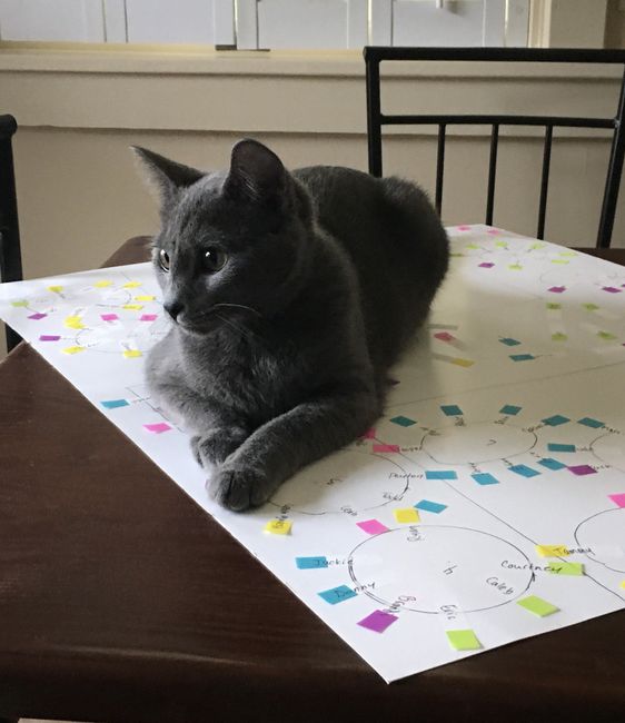 Fur baby supervisor