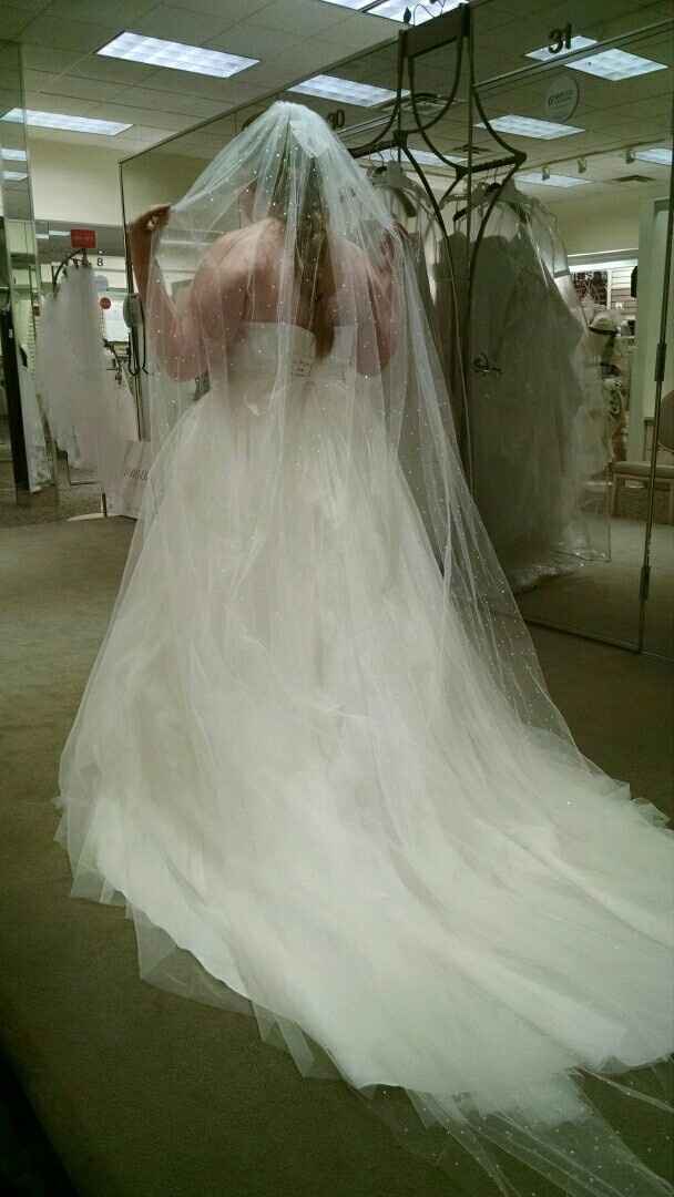 I want to see dresses!