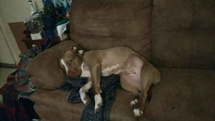 NWR- let me see your fur babies, awake and scared