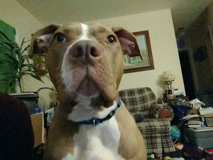 NWR- let me see your fur babies, awake and scared