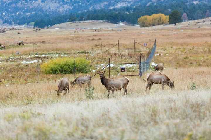 Sneak Peek BAM and Honeymoon Pictures!
