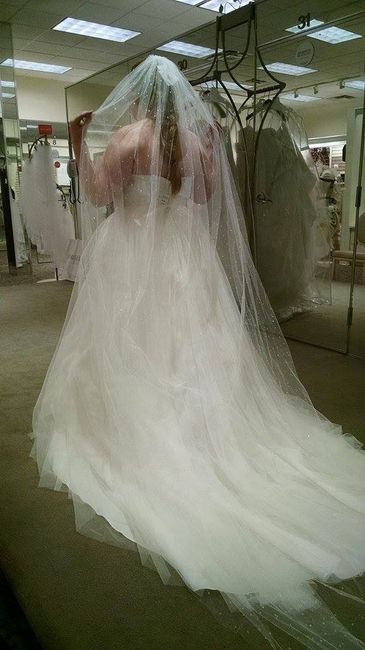 Let me see your veil!