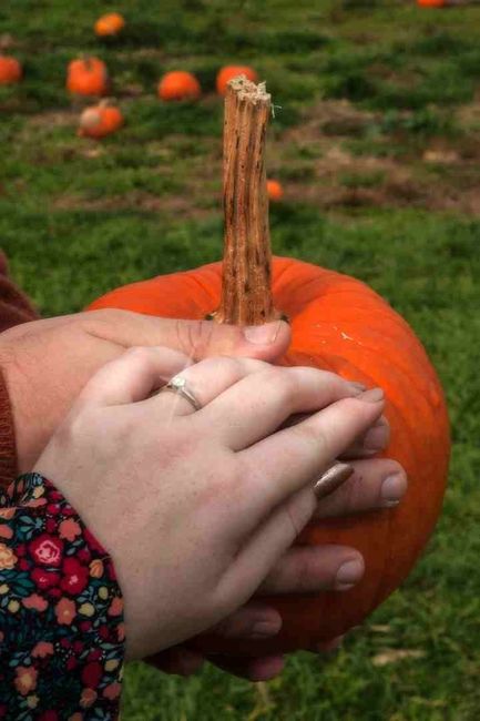 Engagment Pictures!