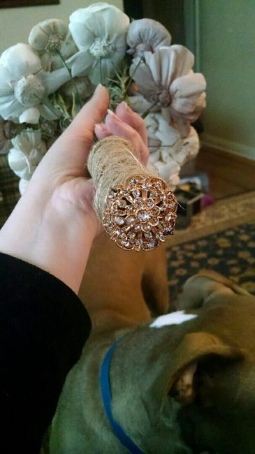 Has anyone used Eco Flowers for their wedding? Post your pics!