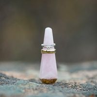 Sneak Peek BAM and Honeymoon Pictures!