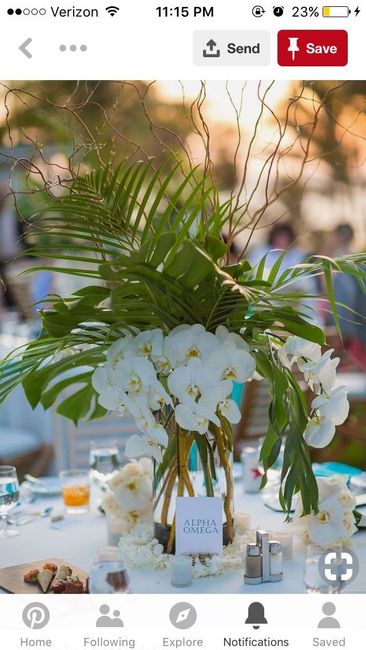 Decor/centerpiece Ideas - 3