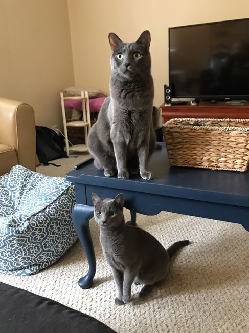 NWR: Show me your fur babies