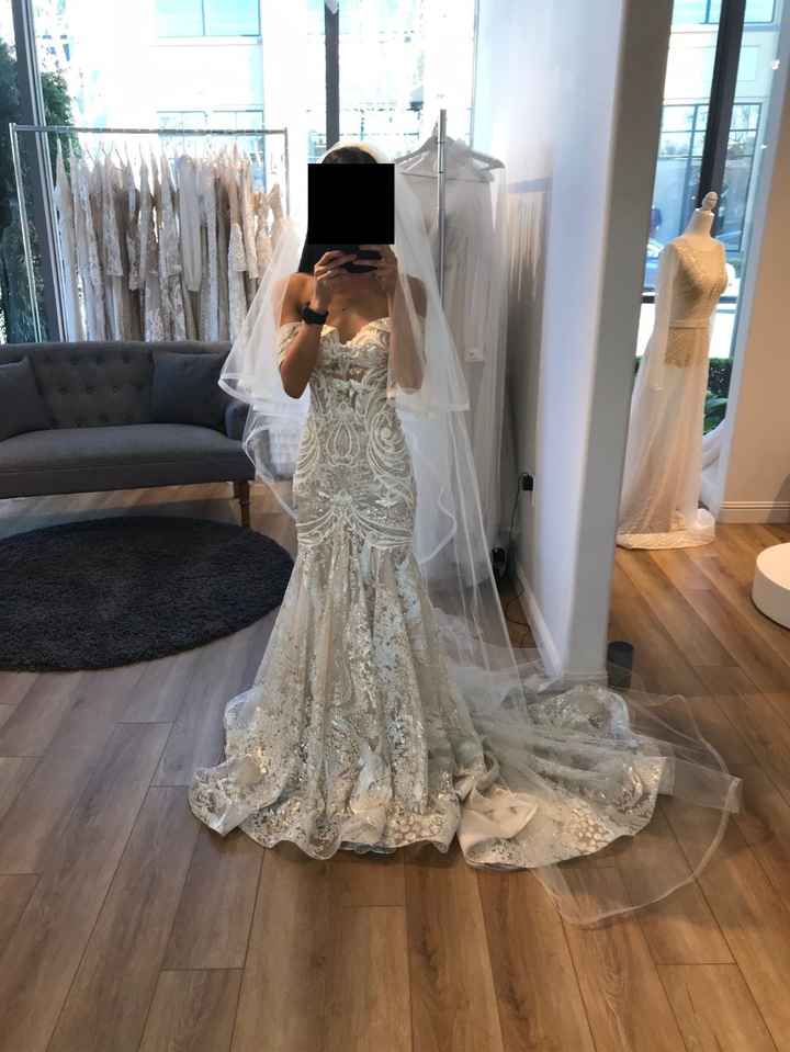 Torn between two dresses! - 1