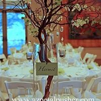 Manzanita Tree Centerpiece?
