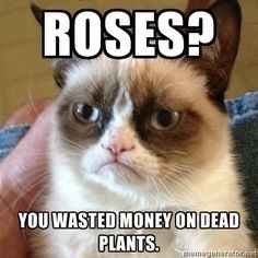 NWR: I think we need a happy thread.