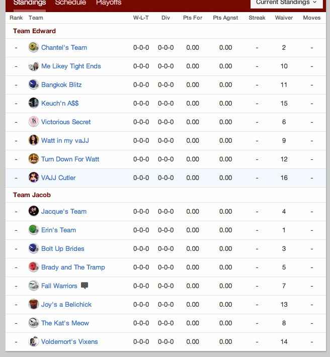 Girls only Fantasy Football league (Chicks with Balls)