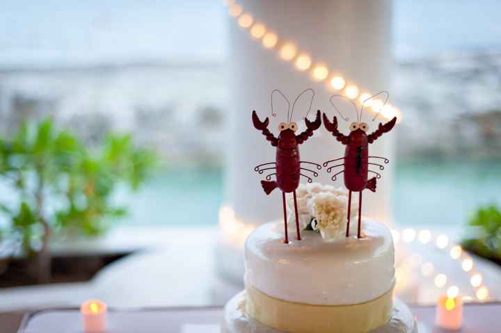 OH HEY.  Pro-pics from my DW.