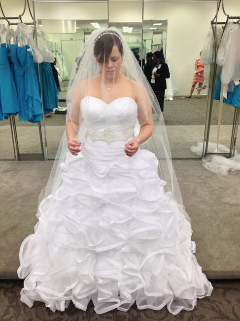 Stressed about the dress
