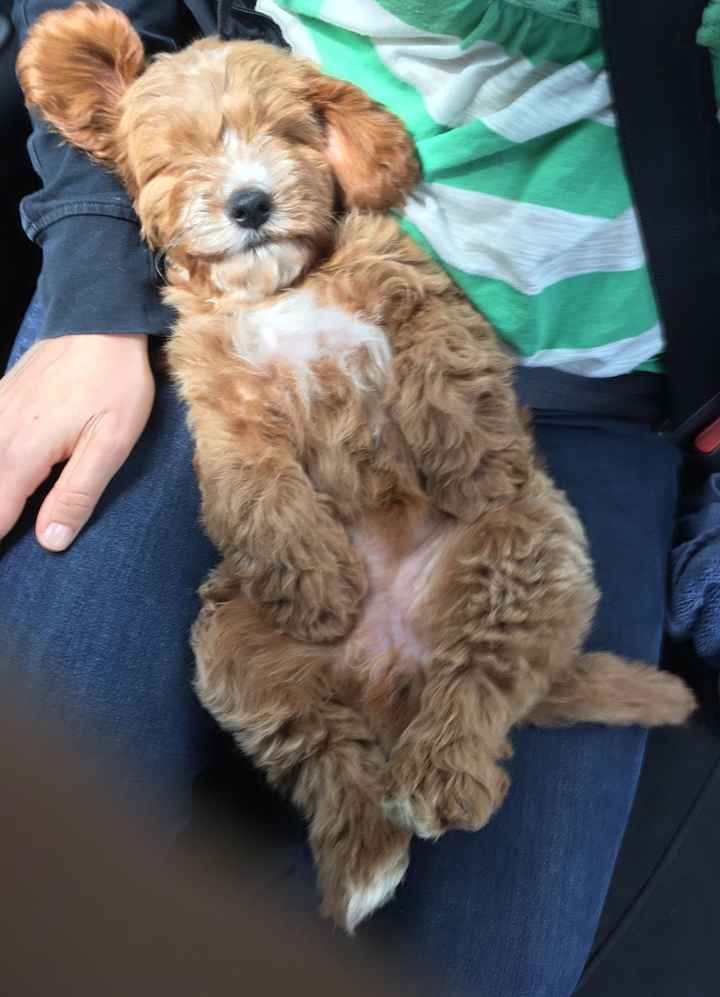 I've been cheating...