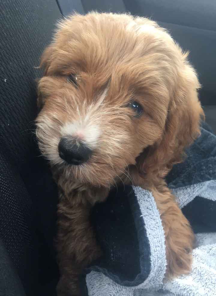 I've been cheating...