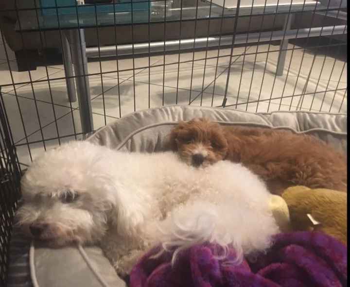 NWR today has been literal shit