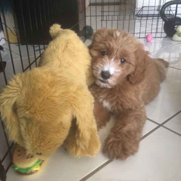 NWR: surgery pick me ups