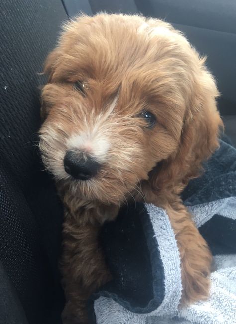 I've been cheating...