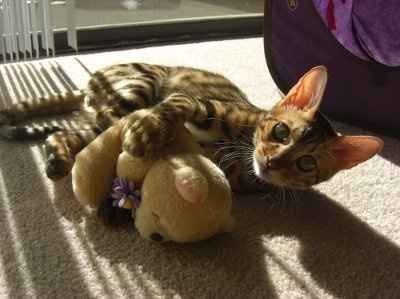 Furbabies!!! Lets show them off!