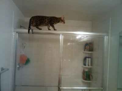 NWR: Lets see our pets!!