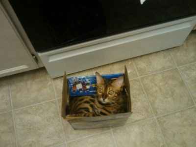 *NWR* Show me your pets/animals! *PICS*