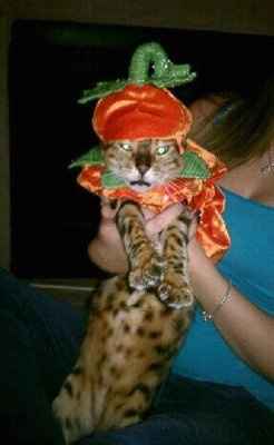 NWR: Show off your fur baby!