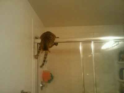 NWR: Show off your fur baby!