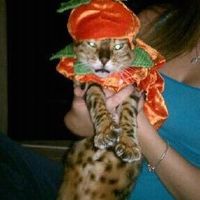 NWR: Show off your fur baby!